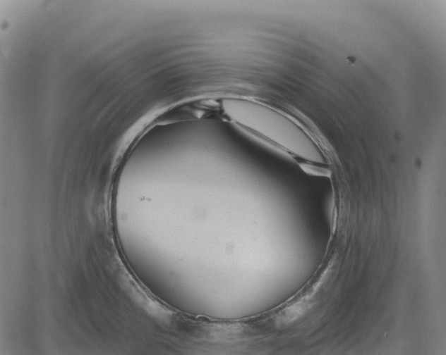 X0000083651196200702201426