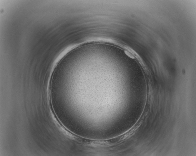 X0000083651199200702201426