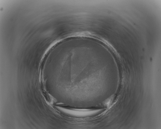 X0000083651224200702201425