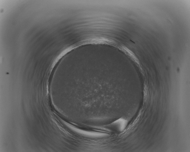 X0000083651226200702201425