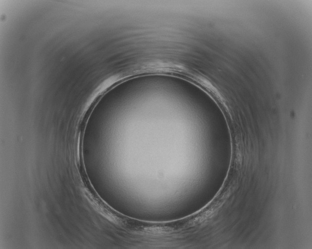 X0000083651227200702201425