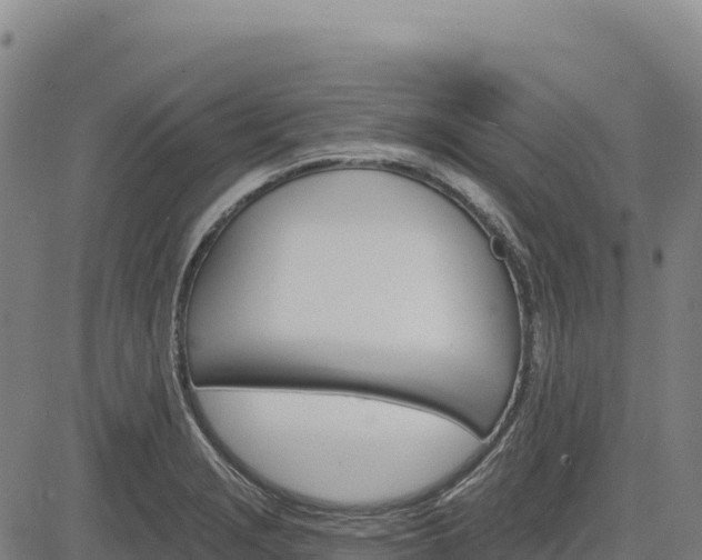 X0000083651229200702201425