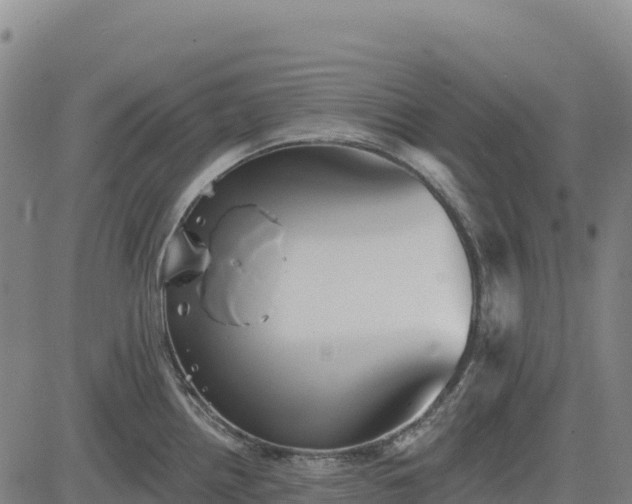 X0000083651242200702201426