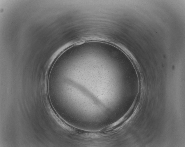 X0000083651246200702201426