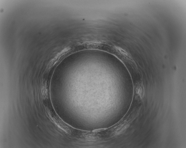 X0000083651252200702201425