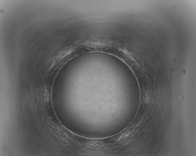 X0000083651253200702201425