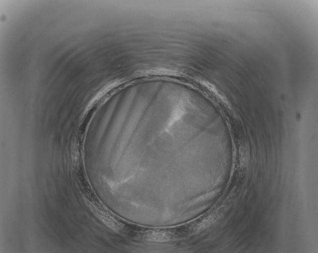 X0000083651266200702201425