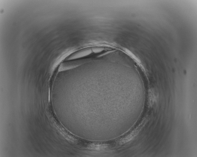 X0000083651269200702201425