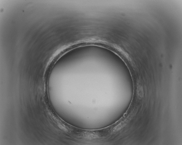 X0000083651270200702201425
