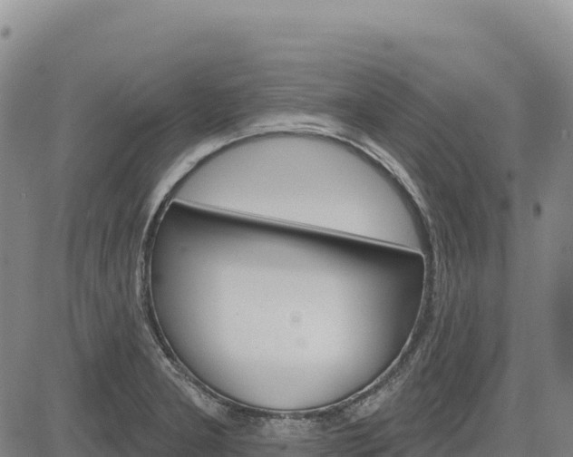 X0000083651277200702201425