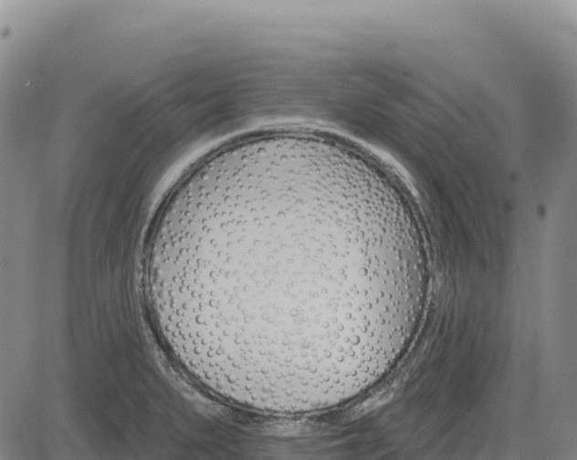 X0000083651279200702201425
