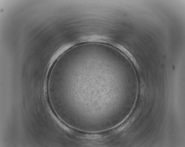 X0000083651285200702201424