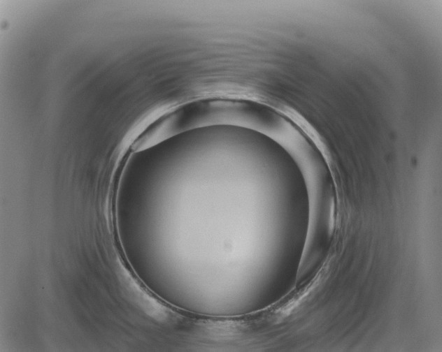 X0000083651293200702201424