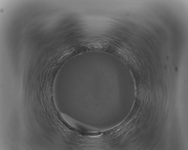 X0000083651297200702201423