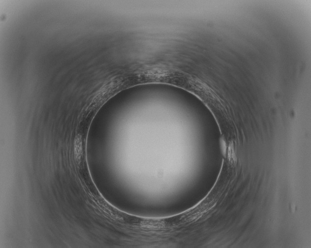 X0000083651299200702201423