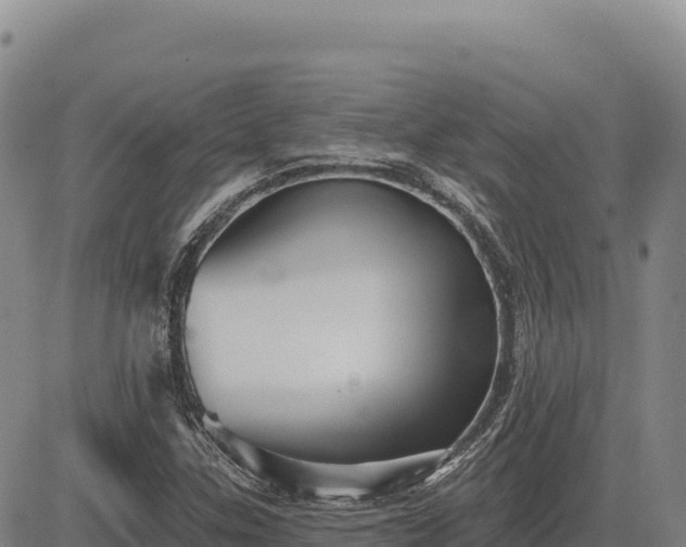 X0000083651307200702201424