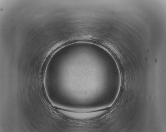 X0000083651308200702201424