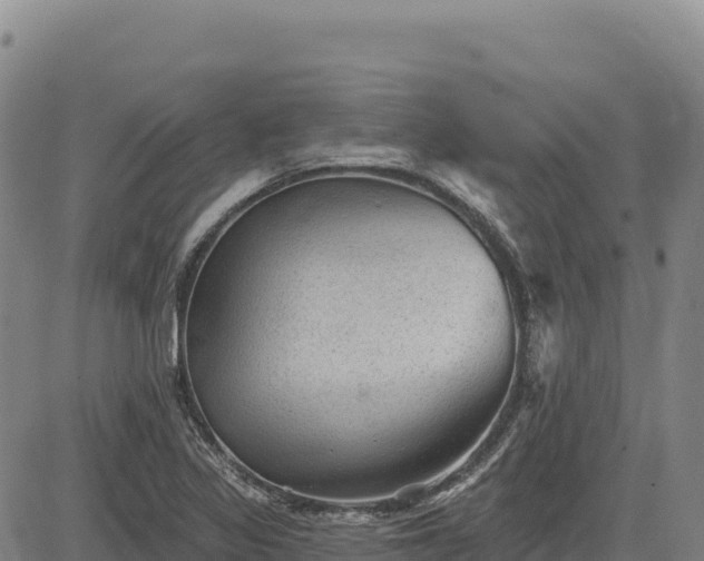 X0000083651317200702201424