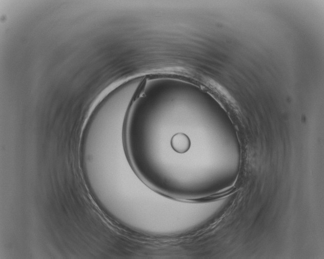 X0000083651324200702201424