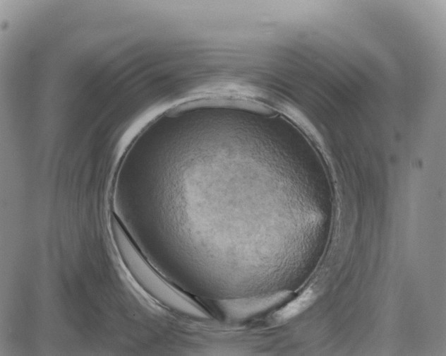 X0000083651344200702201424