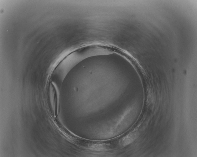 X0000083651367200702201423