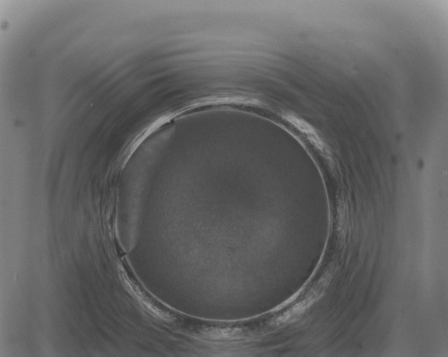 X0000083651369200702201423