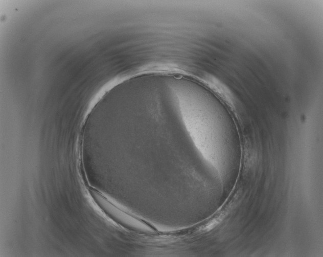 X0000083651382200702201423