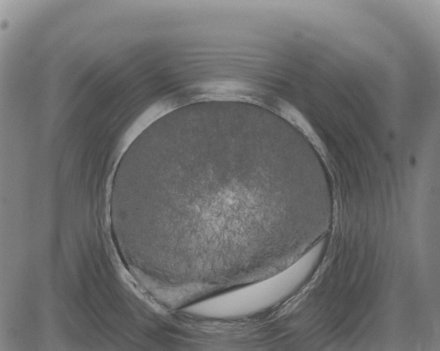 X0000083651386200702201423