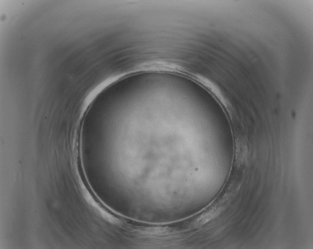 X0000083651387200702201423
