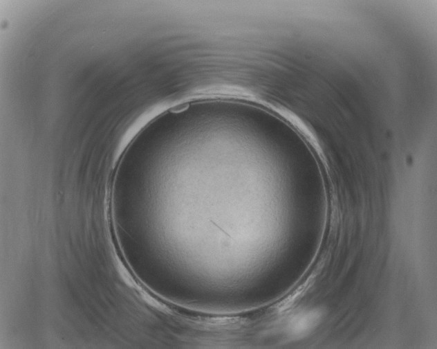 X0000083651390200702201423