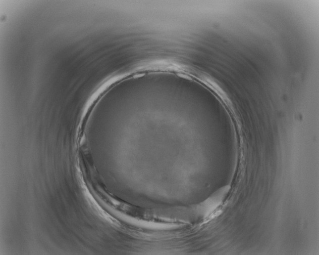 X0000083651392200702201423