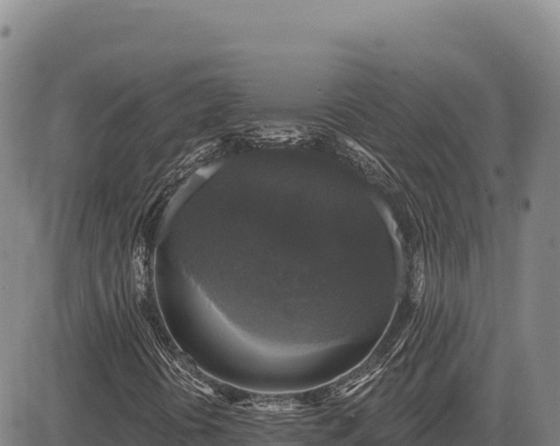 X0000083651394200702201422