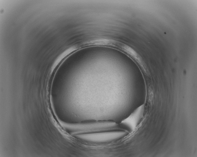 X0000083651426200702201422