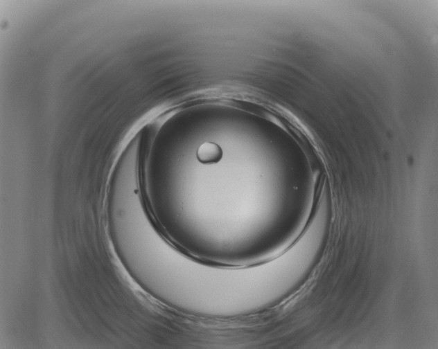 X0000083651434200702201423