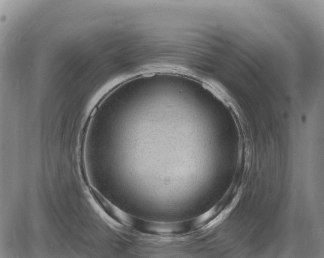 X0000083651438200702201423