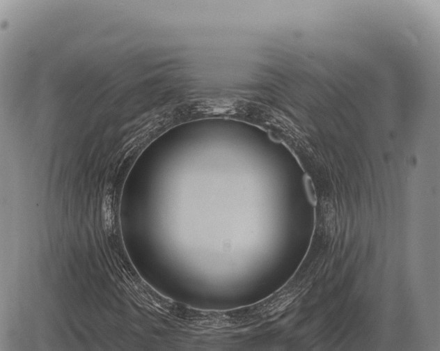 X0000083651442200702201422