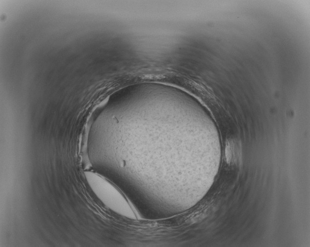X0000083651444200702201422