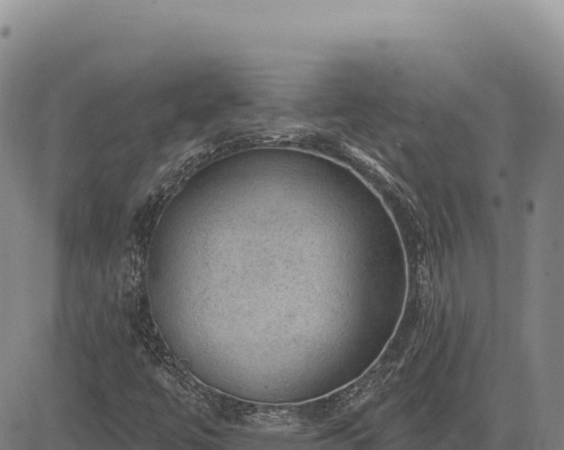 X0000083651447200702201422