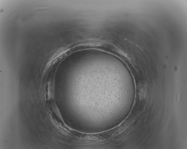 X0000083651448200702201422