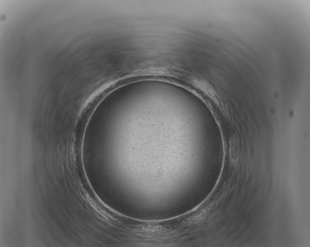 X0000083651452200702201422