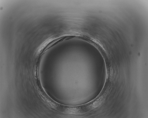 X0000083651455200702201422