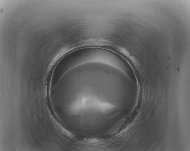 X0000083651459200702201422