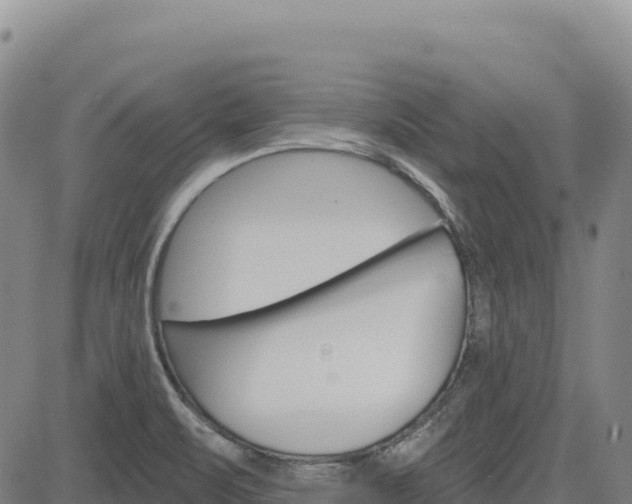 X0000083651471200702201421