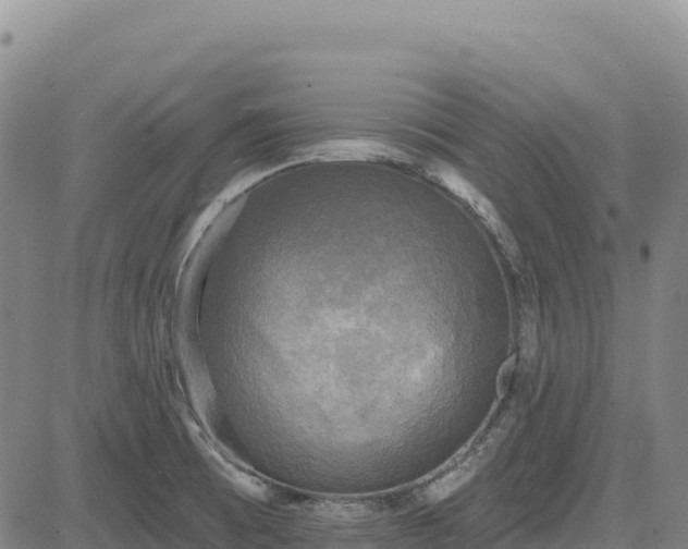 X0000083651473200702201421