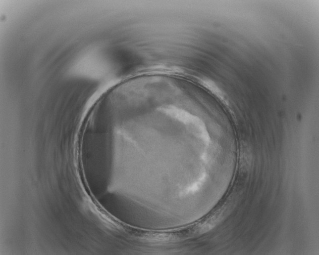 X0000083651474200702201421
