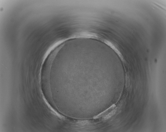 X0000083651477200702201421