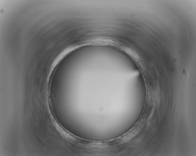 X0000083651478200702201421