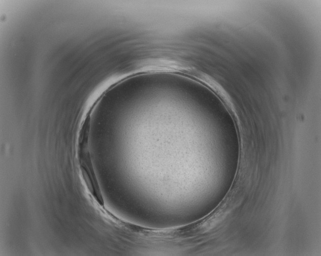 X0000083651488200702201421