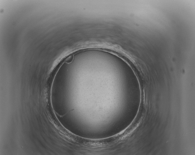 X0000083651501200702201420