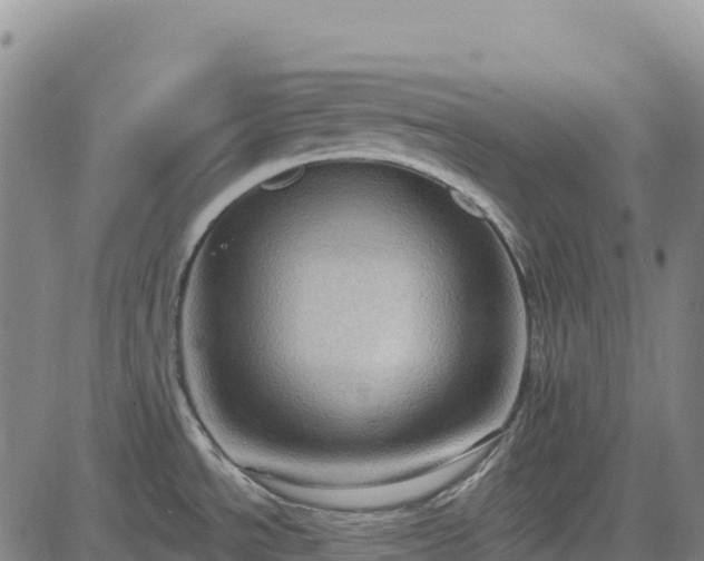 X0000083651534200702201421